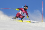 FIS Baltijas kauss 2020 paralēlais slaloms, Foto: E.Lukšo