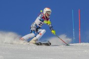 FIS Baltijas kauss 2020 paralēlais slaloms, Foto: E.Lukšo