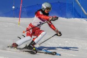 FIS Baltijas kauss 2020 paralēlais slaloms, Foto: E.Lukšo