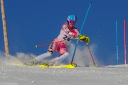 FIS Baltijas kauss 2020 paralēlais slaloms, Foto: E.Lukšo