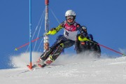 FIS Baltijas kauss 2020 paralēlais slaloms, Foto: E.Lukšo