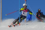 FIS Baltijas kauss 2020 paralēlais slaloms, Foto: E.Lukšo