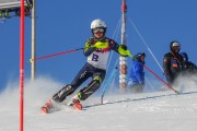 FIS Baltijas kauss 2020 paralēlais slaloms, Foto: E.Lukšo