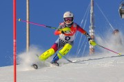 FIS Baltijas kauss 2020 paralēlais slaloms, Foto: E.Lukšo