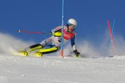 FIS Baltijas kauss 2020 paralēlais slaloms, Foto: E.Lukšo