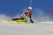 FIS Baltijas kauss 2020 paralēlais slaloms, Foto: E.Lukšo