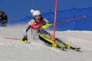 FIS Baltijas kauss 2020 paralēlais slaloms, Foto: E.Lukšo