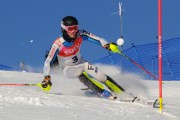 FIS Baltijas kauss 2020 paralēlais slaloms, Foto: E.Lukšo