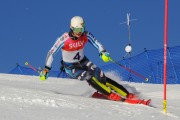 FIS Baltijas kauss 2020 paralēlais slaloms, Foto: E.Lukšo