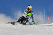 FIS Baltijas kauss 2020 paralēlais slaloms, Foto: E.Lukšo