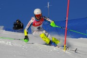 FIS Baltijas kauss 2020 paralēlais slaloms, Foto: E.Lukšo