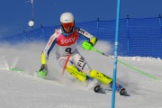 FIS Baltijas kauss 2020 paralēlais slaloms, Foto: E.Lukšo