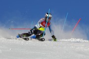 FIS Baltijas kauss 2020 paralēlais slaloms, Foto: E.Lukšo