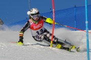 FIS Baltijas kauss 2020 paralēlais slaloms, Foto: E.Lukšo