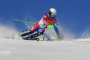 FIS Baltijas kauss 2020 paralēlais slaloms, Foto: E.Lukšo