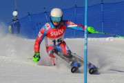 FIS Baltijas kauss 2020 paralēlais slaloms, Foto: E.Lukšo