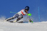 FIS Baltijas kauss 2020 paralēlais slaloms, Foto: E.Lukšo