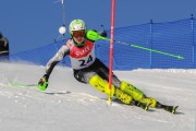 FIS Baltijas kauss 2020 paralēlais slaloms, Foto: E.Lukšo