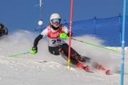 FIS Baltijas kauss 2020 paralēlais slaloms, Foto: E.Lukšo