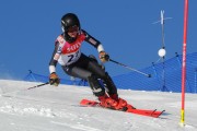 FIS Baltijas kauss 2020 paralēlais slaloms, Foto: E.Lukšo