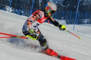 FIS Baltijas kauss 2020 paralēlais slaloms, Foto: E.Lukšo