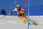 FIS Baltijas kauss 2020 paralēlais slaloms, Foto: E.Lukšo