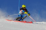 FIS Baltijas kauss 2020 paralēlais slaloms, Foto: E.Lukšo