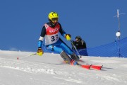 FIS Baltijas kauss 2020 paralēlais slaloms, Foto: E.Lukšo