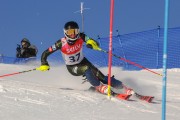 FIS Baltijas kauss 2020 paralēlais slaloms, Foto: E.Lukšo