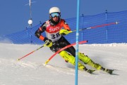 FIS Baltijas kauss 2020 paralēlais slaloms, Foto: E.Lukšo