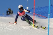 FIS Baltijas kauss 2020 paralēlais slaloms, Foto: E.Lukšo