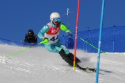 FIS Baltijas kauss 2020 paralēlais slaloms, Foto: E.Lukšo