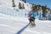 FIS Baltijas kauss 2020 paralēlais slaloms, Foto: E.Lukšo