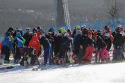 FIS Baltijas kauss 2020 paralēlais slaloms, Foto: E.Lukšo