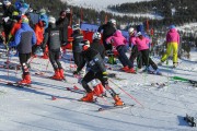 FIS Baltijas kauss 2020 paralēlais slaloms, Foto: E.Lukšo