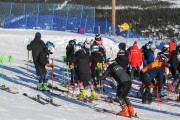 FIS Baltijas kauss 2020 paralēlais slaloms, Foto: E.Lukšo