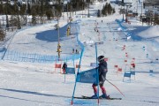 FIS Baltijas kauss 2020 paralēlais slaloms, Foto: E.Lukšo