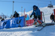 FIS Baltijas kauss 2020 paralēlais slaloms, Foto: E.Lukšo