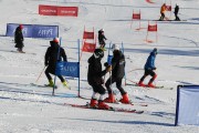 FIS Baltijas kauss 2020 paralēlais slaloms, Foto: E.Lukšo