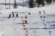 FIS Baltijas kauss 2020 paralēlais slaloms, Foto: E.Lukšo