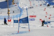 FIS Baltijas kauss 2020 paralēlais slaloms, Foto: E.Lukšo