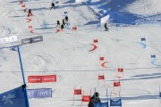 FIS Baltijas kauss 2020 paralēlais slaloms, Foto: E.Lukšo