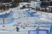 FIS Baltijas kauss 2020 paralēlais slaloms, Foto: E.Lukšo