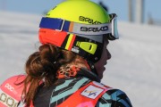 FIS Baltijas kauss 2020 paralēlais slaloms, Foto: E.Lukšo