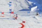 FIS Baltijas kauss 2020 paralēlais slaloms, Foto: E.Lukšo