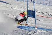 FIS Baltijas kauss 2020 paralēlais slaloms, Foto: E.Lukšo