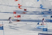 FIS Baltijas kauss 2020 paralēlais slaloms, Foto: E.Lukšo