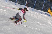 FIS Baltijas kauss 2020 paralēlais slaloms, Foto: E.Lukšo