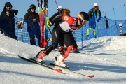 FIS Baltijas kauss 2020 paralēlais slaloms, Foto: E.Lukšo