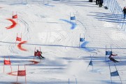 FIS Baltijas kauss 2020 paralēlais slaloms, Foto: E.Lukšo